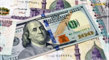 تطور جديد.. سعر الدولار يحافظ على استقراره بنهاية التعاملات ما آخر تحديث؟ 1